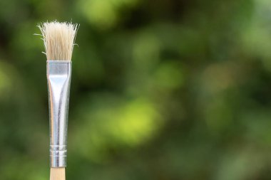 Yeşil doğa arka planına sahip sanat fırçası