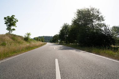 Çevredeki çimenler ve ağaçlar arasındaki yol 