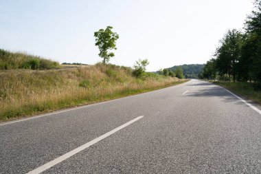 Çevredeki çimenler ve ağaçlar arasındaki yol 