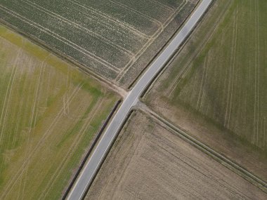 İlkbaharda tarımsal tarlalar arasındaki yolun üstünden bak