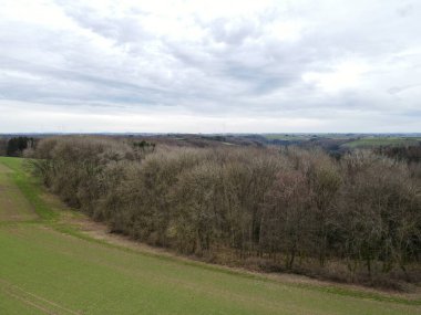 Baharda yapraksız ağaçların üzerinden manzarayı seyret. 