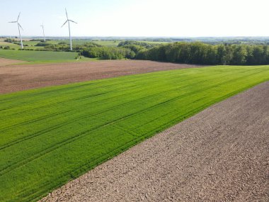 Baharda güneşli bir günde ağaçlar ve rüzgar jeneratörleriyle tarım alanları 