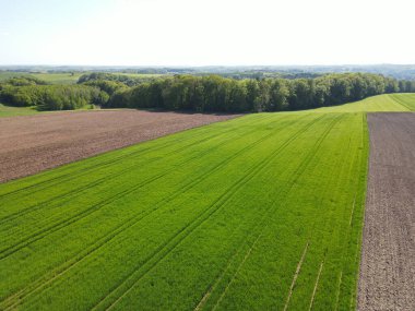Baharda güneşli bir günde tarım arazileri ve orman ağaçları olan bir manzara. 