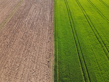 Toprakla kaplı bir tarlanın havadan görünüşü ve baharda yeşil, olgunlaşmamış bir arpa tarlası.