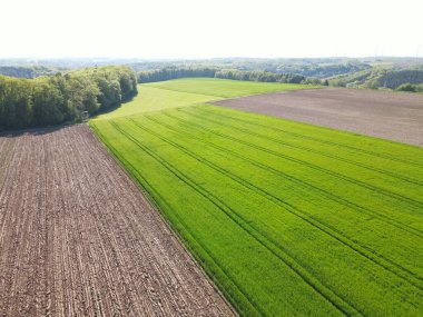 İlkbaharda kırsal bölgelerdeki tarım arazilerinin havadan görünüşü