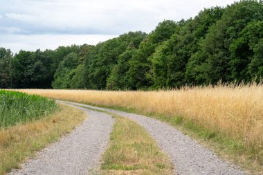 toprak yol ile peyzaj