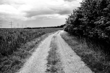 Siyah beyaz toprak yolu olan bir manzara.