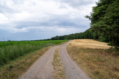 Kırsalda çakıl yolu