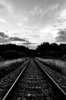 Kırsal kesimde demiryolu siyah beyaz