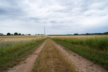 Kırsal bölgedeki toprak yol. 