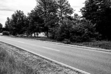 Arazide yol siyah beyaz