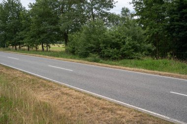 Kırsalda çimenler ve ağaçlar arasındaki yol