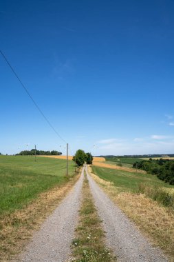 Yazın çakıl yolu ve mavi gökyüzü olan manzara. 