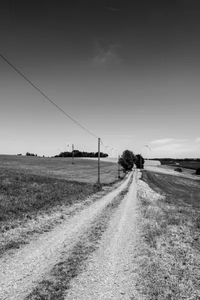 Siyah beyaz toprak yolu olan bir manzara.