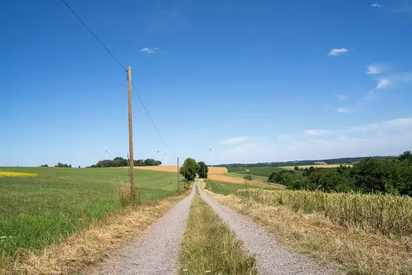 Yazın sıcak bir günde çakıllı bir yolda manzara 