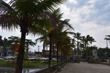 Ubatuba 'nın Tropik Plajları ve So Sebastio, Brezilya