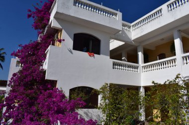 Ubatuba, Brezilya 'da Tropikal Ev Tasarımı