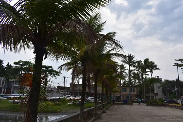 Ubatuba 'nın Tropik Plajları ve So Sebastio, Brezilya