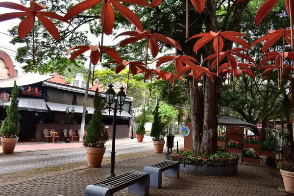 Holambra. Brezilya 'nın So Paulo kentindeki Hollanda şehri.