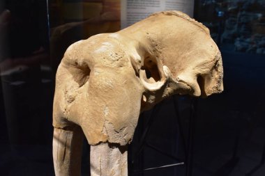 İzlanda 'nın başkentinde Reykjavk Müzesi Kültür ve Tarih