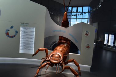 İzlanda 'nın başkentinde Reykjavk Müzesi Kültür ve Tarih