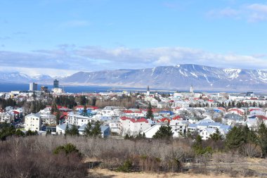 İzlanda Dağları 'ndan geçen Manzaralı Yol