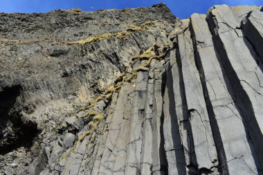 Reynisfjara Bazalt Sütunları İzlanda İkonik Kara Kum Sahili