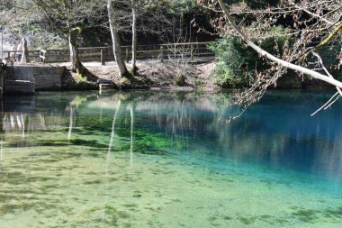 Blautopf Blaubeuren 'in Turkuaz Baharı, Almanya
