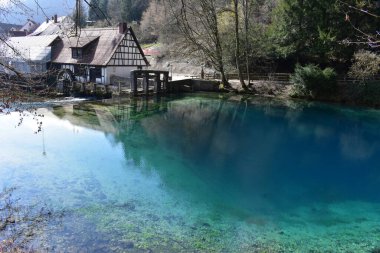 Blautopf Blaubeuren 'in Turkuaz Baharı, Almanya