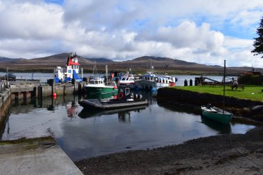 Islay Adası İskoç Viski Sahili ve Doğal Güzellik