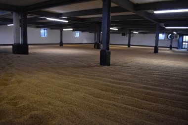 Viski Fabrikası Islay, İskoçya 'da Viski Yapıyor