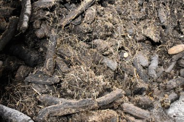 Viski Fabrikası Islay, İskoçya 'da Viski Yapıyor