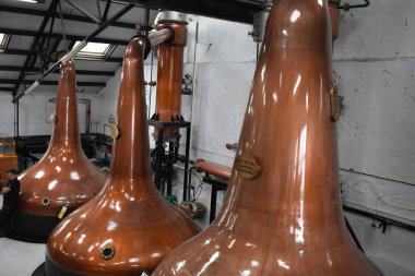 Viski Fabrikası Islay, İskoçya 'da Viski Yapıyor