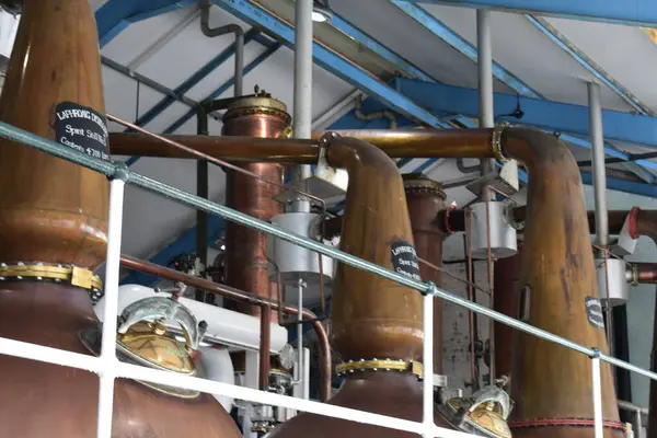 Viski Fabrikası Islay, İskoçya 'da Viski Yapıyor