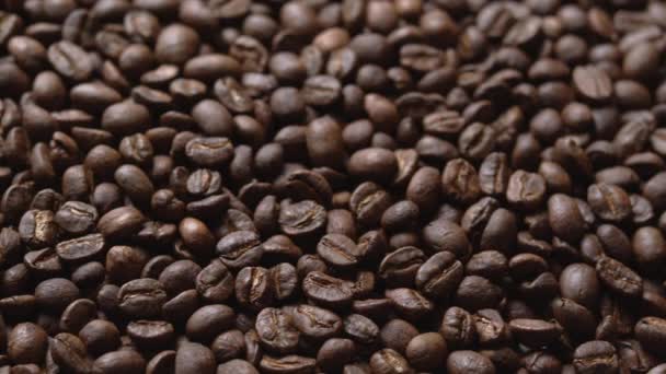 Close Macro Coffee Beans Detailed Roasted Grains Texture Bokeh — Stock Video