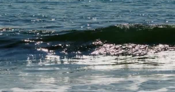 Mesmerizing Slow Motion Filmerna Ocean Waves Crash Stockvideo Avkoppling Film — Stockvideo