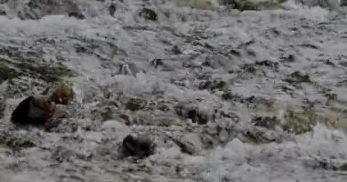 Büyüleyici Yakın Çekim: Nehrin Yavaş Akıntısı Güzel ve Çarpıcı Kayalar Arasında