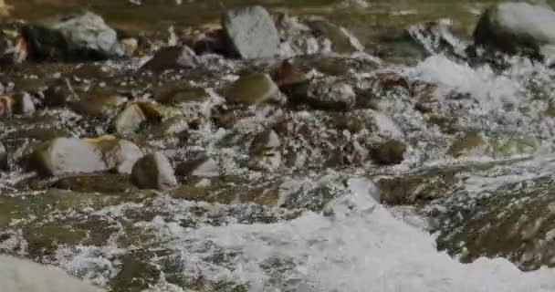 Захоплюючий Крупним Планом Повільний Рух Течії Річки Через Красиві Приголомшливі — стокове відео