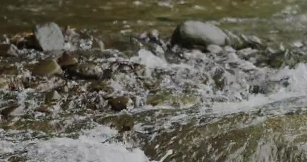 クローズアップ 美しい絶景の岩を通じて流れる川の流れ — ストック動画
