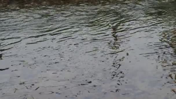 Působivý Close Pomalý Pohyb Toku Proudu Řeky Přes Krásné Ohromující — Stock video