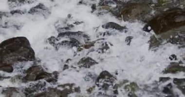 Büyüleyici Yakın Çekim: Sersemletici Kayalar Arasında Yavaş Akım