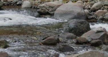 Büyüleyici Yakın Çekim: Sersemletici Kayalar Arasında Yavaş Akım