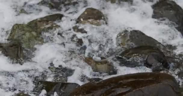 Захватывающее Затишье Медленный Поток Речного Течения Через Обрывистые Дороги — стоковое видео