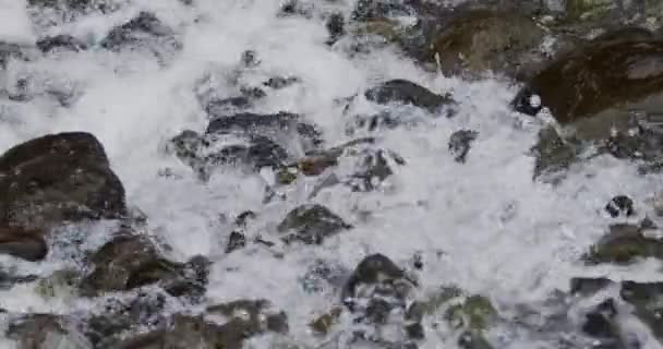 閉じ込めの魅力 見事な岩を通って流れる川の流れのスローモーション — ストック動画