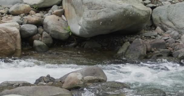 Detalle Cerca Corriente Agua Del Río Que Fluye Través Rocas — Vídeos de Stock