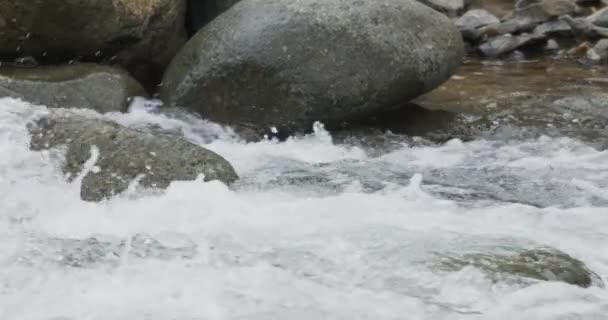 スローモーションで川の岩を流れる川の水の流れの詳細を閉じる — ストック動画