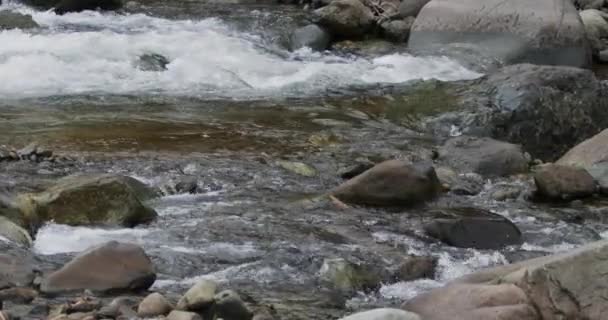 Detalle Cerca Corriente Agua Del Río Que Fluye Través Rocas — Vídeos de Stock