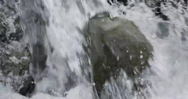 Detailaufnahme Der Strömung Des Flusswassers Die Zeitlupe Durch Flussfelsen Fließt — Stockvideo
