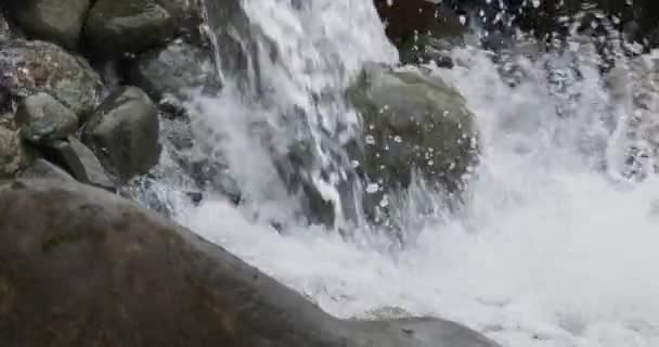 スローモーションで川の岩を流れる川の水の流れの詳細を閉じる — ストック動画