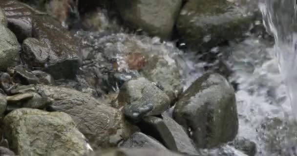 Близько Деталей Течії Річкової Води Протікає Через Річкові Породи Повільному — стокове відео